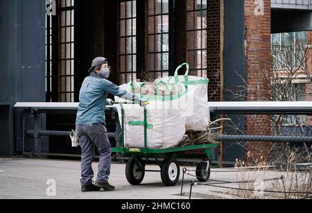 The High Line, eine gemeinnützige Organisation und der beliebte öffentliche Park von New York, der vom niederländischen Gärtner Pete Oudolf entworfen wurde, wird größtenteils von Freiwilligen unterhalten Stockfoto