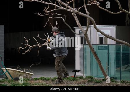 The High Line, eine gemeinnützige Organisation und der beliebte öffentliche Park von New York, der vom niederländischen Gärtner Pete Oudolf entworfen wurde, wird größtenteils von Freiwilligen unterhalten Stockfoto