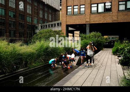 Pflanzen auf der High Line – Präriegräser, sonnenliebende Stauden, Bäume und Sträucher – rufen einen wilden Raum hervor. Stimmungen und Texturen ändern sich mit den Jahreszeiten. Stockfoto