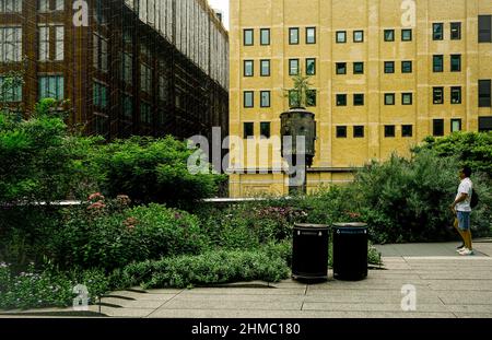 Pflanzen auf der High Line – Präriegräser, sonnenliebende Stauden, Bäume und Sträucher – rufen einen wilden Raum hervor. Stimmungen und Texturen ändern sich mit den Jahreszeiten. Stockfoto