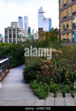 Der High Line Park in New York, der sich auf einem stillgewordenen Eisenbahnviadukt befindet, erinnert an die wilde Natur und spiegelt gleichzeitig den Charakter einer ehemaligen Industriestruktur wider Stockfoto