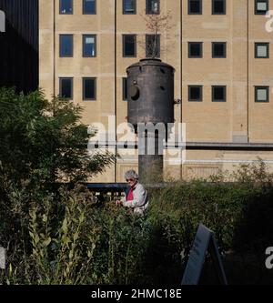 Pflanzen auf der High Line – Präriegräser, sonnenliebende Stauden, Bäume und Sträucher – rufen einen wilden Raum hervor. Stimmungen und Texturen ändern sich mit den Jahreszeiten. Stockfoto