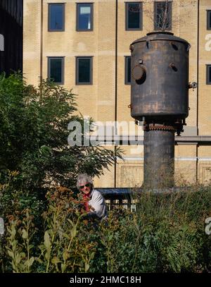 Pflanzen auf der High Line – Präriegräser, sonnenliebende Stauden, Bäume und Sträucher – rufen einen wilden Raum hervor. Stimmungen und Texturen ändern sich mit den Jahreszeiten. Stockfoto