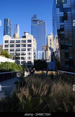 Pflanzen auf der High Line – Präriegräser, sonnenliebende Stauden, Bäume und Sträucher – rufen einen wilden Raum hervor. Stimmungen und Texturen ändern sich mit den Jahreszeiten. Stockfoto