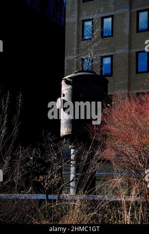 Der High Line Park in New York, der sich auf einem stillgewordenen Eisenbahnviadukt befindet, erinnert an die wilde Natur und spiegelt gleichzeitig den Charakter einer ehemaligen Industriestruktur wider Stockfoto