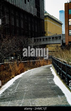 Der High Line Park in New York, der sich auf einem stillgewordenen Eisenbahnviadukt befindet, erinnert an die wilde Natur und spiegelt gleichzeitig den Charakter einer ehemaligen Industriestruktur wider Stockfoto