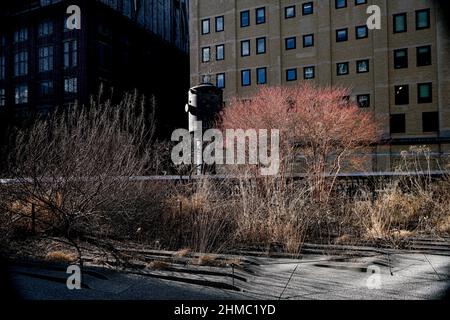 Der High Line Park in New York, der sich auf einem stillgewordenen Eisenbahnviadukt befindet, erinnert an die wilde Natur und spiegelt gleichzeitig den Charakter einer ehemaligen Industriestruktur wider Stockfoto