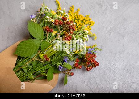 Natürliche Medizin, Kräuter. Heilkräuter, Kräutermedizin. Stockfoto