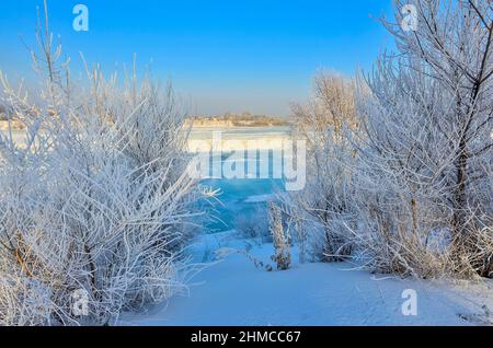 Winterspaziergang am Flussufer, Bäume und Sträucher mit flauschigen Reif bedeckt, blaues Eis auf dem Fluss und blauem sonnigen Himmel. Märchen vom Winter, Wetter Stockfoto