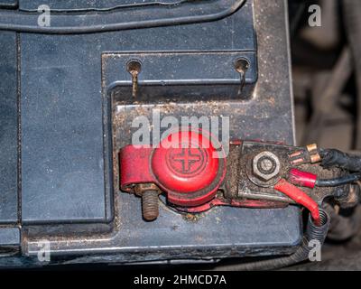 Roter Pluspol mit Autobatteriekabeln. Stockfoto