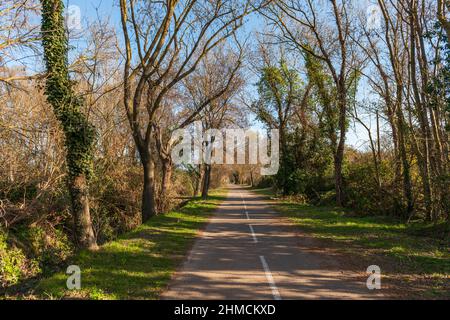 Rad- und Fussgängerweg in der Nähe des Thau-Teiches, im Winter in Poussan, in der französischen Hauptstadt Stockfoto