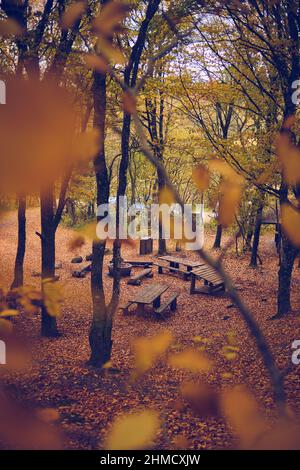 Freier Waldcampingplatz in Dänemark. Hochwertige Fotos Stockfoto