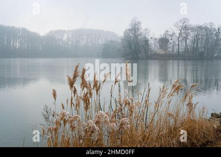 Lyon (Frankreich), 25. Januar 2022. Schilf am Rande eines Sees mit Nebel. Stockfoto