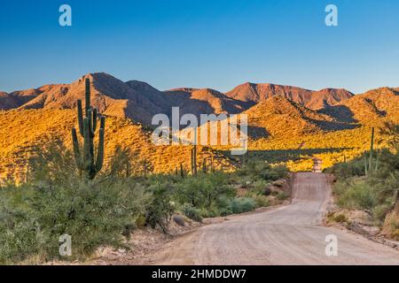 Unbenannte Range in den Superstition Mountains bei Sonnenuntergang, Blick vom Apache Trail (Road 88), in der Nähe von Apache Gap und Davis Wash Campground, Arizona, USA Stockfoto
