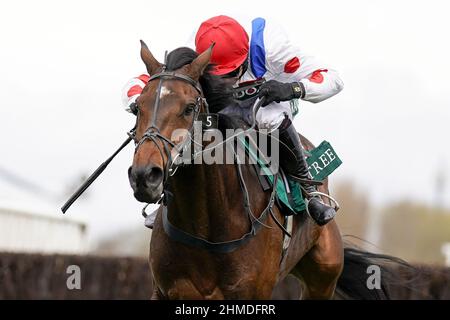 Aktenfoto vom 08-04-2021 von Protektorat. Dan Skelton scheut sich nicht vor der irischen Herausforderung mit Protektorat, der derzeit als führender britisch ausgebildeter Anwärter beim Boodles Cheltenham Gold Cup im nächsten Monat eingestuft wird. Ausgabedatum: Mittwoch, 9. Februar 2022. Stockfoto