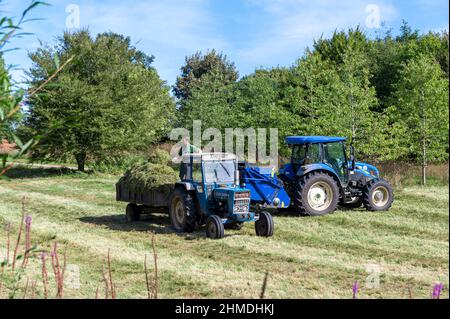 Gras schneiden, mit dem Mann Gras auf einen Anhänger laden, Maschinen hinter sich schneiden. Stockfoto