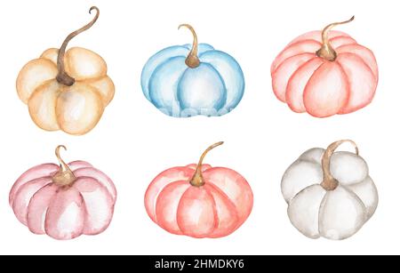 Kürbis Clipart Set. Aquarell zarte Farbe Kürbisse Illustration, Thanksgiving Pink , blaues und weißes Gemüse, Erntezeit, Baby Shower Party, Stockfoto