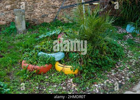 Recycelte bunte Autoreifen wurden zu Pflanzgefäßen für Pflanzen im Garten in Granadilla, Extremadura Stockfoto