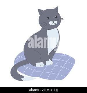 Cartoon niedliche graue Katze auf einem Kissen. Haustier zu Hause. Vektor-isolierte Illustration Stock Vektor