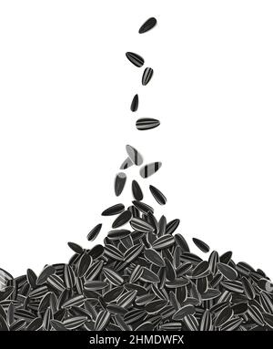 Sonnenblumenkerne fallen von oben gesunden Snack. Gerösteter Samen. Vektorgrafik für Stockbild Stock Vektor