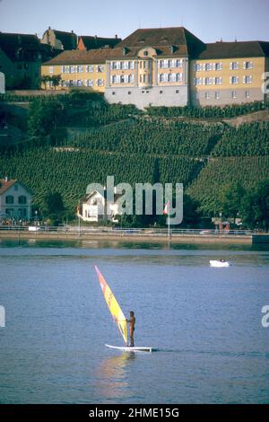 Windsurfer am Bodensee mit Weingut im Hintergrund im Jahr 1981, Meersburg, Baden-Württemberg, Deutschland Stockfoto