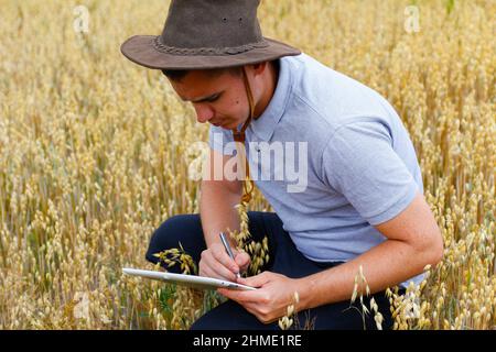 Harvester. Porträt des Bauern sitzen in Gold Weizenfeld mit Tablet. Junger Mann mit Cowboyhut auf dem Feld, der Weizenernte untersucht. Haferflocken-Getreideindustrie Stockfoto