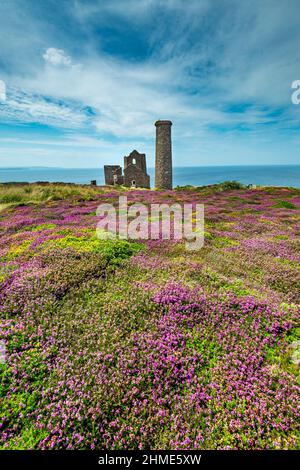 Relikt der kornischen Zinnbergbauindustrie, im Sommer auf der Klippe der nordkornischen Küste, mit UNESCO-Weltkulturerbe.Alter Ziegelkamin und ru Stockfoto