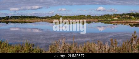 Salzsee SA Vall, Colònia de Sant Jordi, ses Salines, Mallorca, Balearen, Spanien Stockfoto