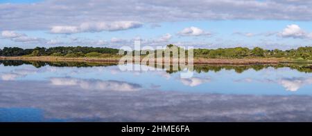 Salzsee SA Vall, Colònia de Sant Jordi, ses Salines, Mallorca, Balearen, Spanien Stockfoto