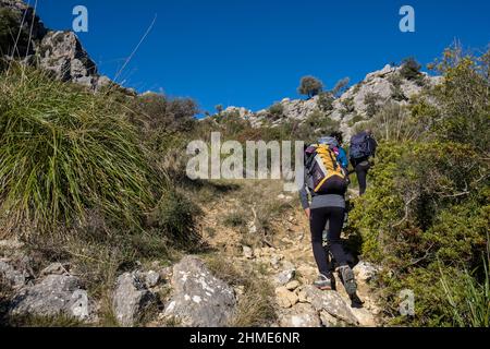 Wanderer, die Cucuia de Fartaritx, Assarell, Pollença, Mallorca, Balearen, Spanien Stockfoto