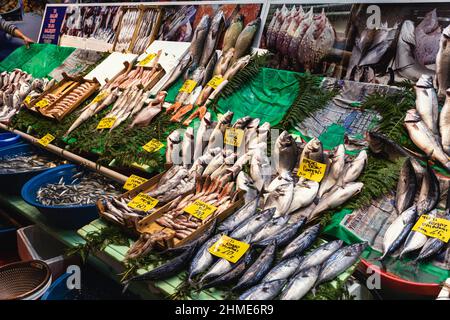 Istanbul, Türkei – 21. Nov 2021: Auf einem Fischmarkt mit Preisschildern und Namen in türkischer Sprache werden verschiedene frische Fische verkauft Stockfoto