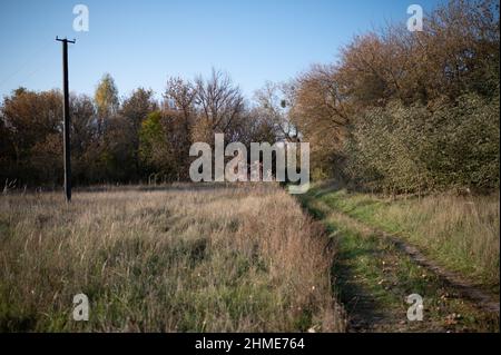 Verlassene Häuser im Dorf Kupovate, in der Sperrzone in der Nähe des Kernkraftwerks Tschernobyl, wurden einst von Umsiedlern bewohnt. Stockfoto