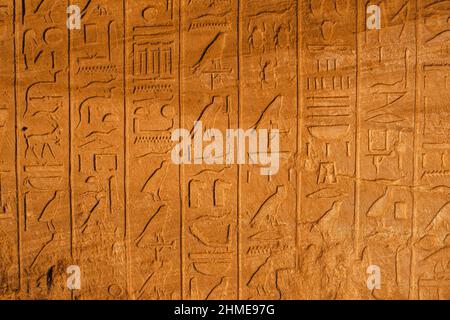 Flache Ansicht einer mit altägyptischen Hieroglyphen bedeckten Mauer in einem Tempel in ägypten. Viele verschiedene antike Symbole erklären die Geschichte der großen Zivilisation Stockfoto