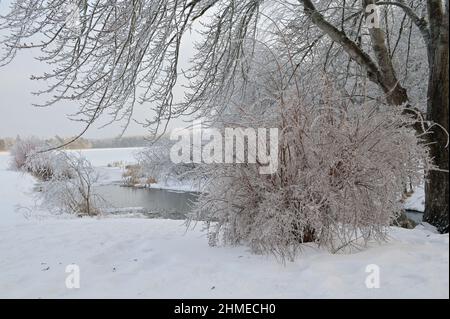 Frostige Bäume an den Ufern eines ungefrorenen Flusses. Stockfoto