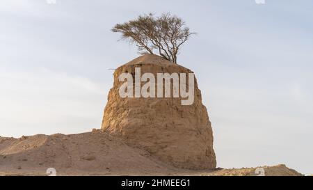Lonely Tree on Clay Rock in dukhan umm bab Stockfoto