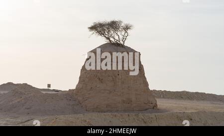 Lonely Tree on Clay Rock in dukhan umm bab Stockfoto