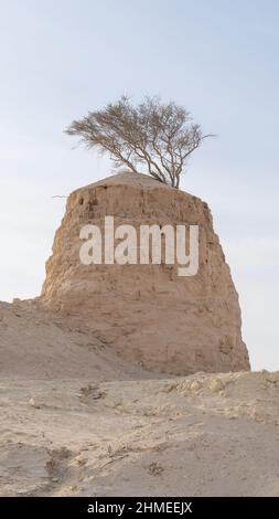 Lonely Tree on Clay Rock in dukhan umm bab Stockfoto