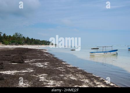 Die Ebbe des Indischen Ozeans an den Ufern von Sansibar. Stockfoto