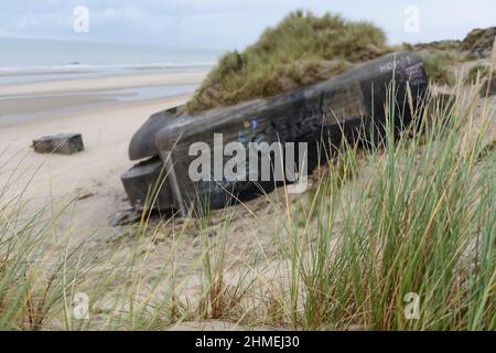 Dans les Dunes et sur la Plage, entre Bray-Dunes et Zuydcoote les ruines de Bunker du mur de l'Atlantique de deuxième guerre mondiale. La batterie de Stockfoto