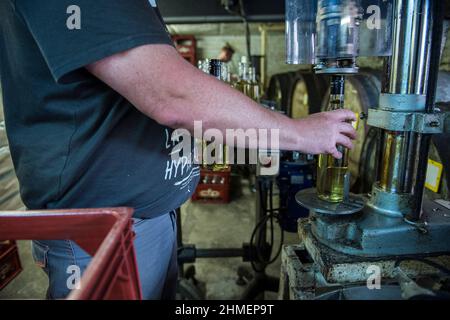 La distillerie Persyn a Houlle a recu plusieurs fois le Gin Award pour ses productions artisanales de genievre originales - Alcool de Grains - petite Stockfoto