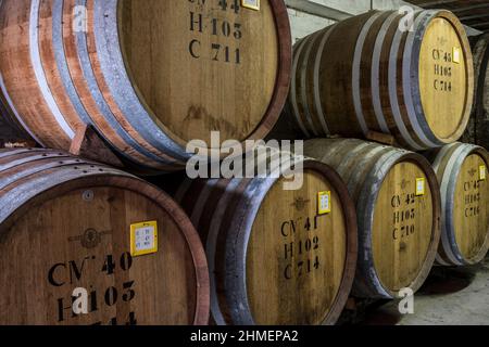 La distillerie Persyn a Houlle a recu plusieurs fois le Gin Award pour ses productions artisanales de genievre originales - Eichenfass the Genever DIS Stockfoto