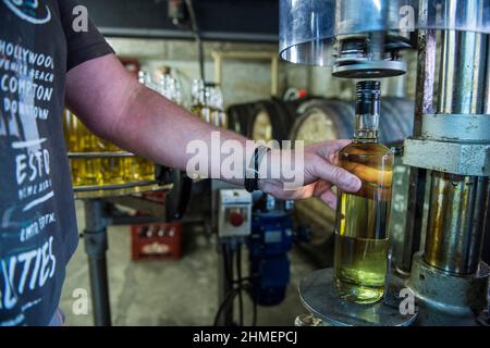 La distillerie Persyn a Houlle a recu plusieurs fois le Gin Award pour ses productions artisanales de genievre originales - Alcool de Grains - petite Stockfoto