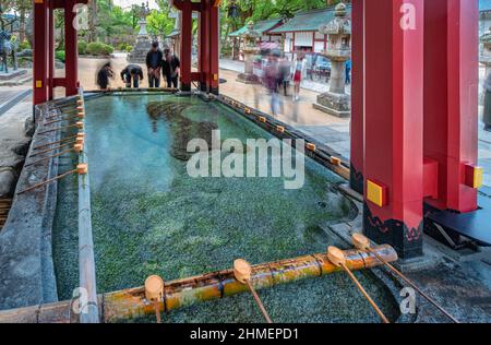 tokio, japan - 07 2019. dezember: Bambuslöffel rund um ein großes Waschbecken namens temizuya oder chōzuya, geschmückt mit einer geschnitzten Minogame-Schildkröte Stockfoto
