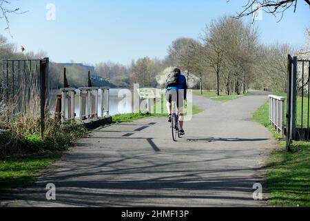 Cyclo randonnée le long de la Lys sur le chemin de halage - vue sur le côté belge Comines-Warneton Fahrradfahren entlang des Flusses Lys auf der belgischen Seite von Stockfoto