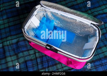 Tragbare Kühltasche mit Kühlbatterien, Thermosbeutel, Kältemitteltanks, Eisplatten für einen Kühlbeutel. Stockfoto