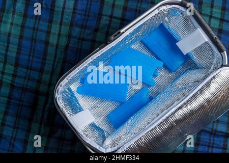 Tragbare Kühltasche mit Kühlbatterien, Thermosbeutel, Kältemitteltanks, Eisplatten für einen Kühlbeutel. Stockfoto