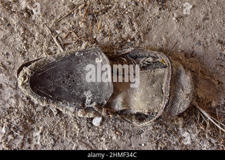 Fragment eines heruntergekommenen Halbschuhs, heruntergekommener Herrenschuh auf dem Boden, verfaulter Schuh, abgewrackter Schuh, verfallener Schuh, abgenutzter Schuh, Abgenutzter Schuh Stockfoto