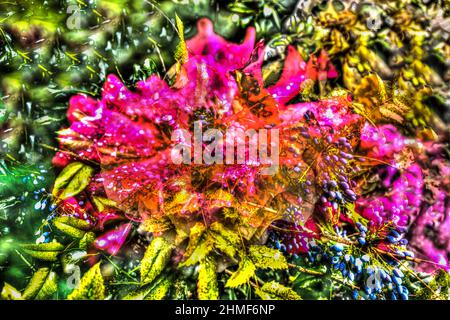 Rhododendron (Rhododendron aureum), Hollies (Ilex) auch Schoten Schoten Schoten, Pflanzen, gartenkreativ, verfremdete Blumen, Deutschland Stockfoto