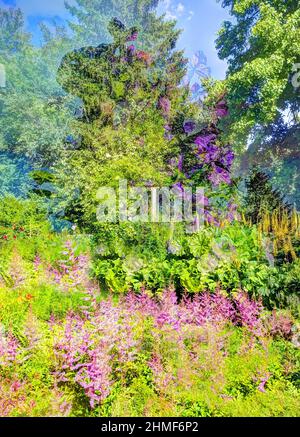 Pflanzen, Garten kreativ, verfremdete Blumen, Deutschland Stockfoto