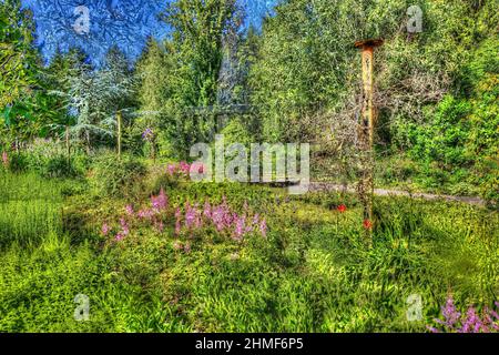 Pflanzen, Garten kreativ, verfremdete Blumen, Deutschland Stockfoto